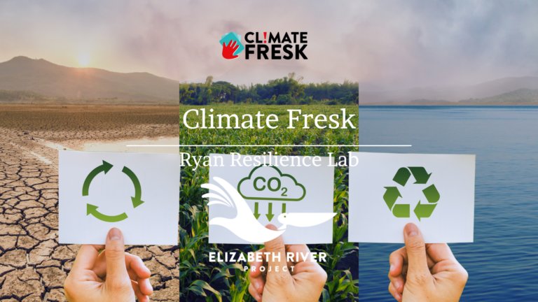 FREE Climate Fresk Workshop